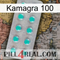 Kamagra 100 28